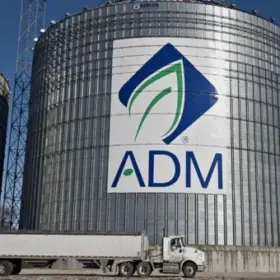 ADM – WINGS - Wings Ltda