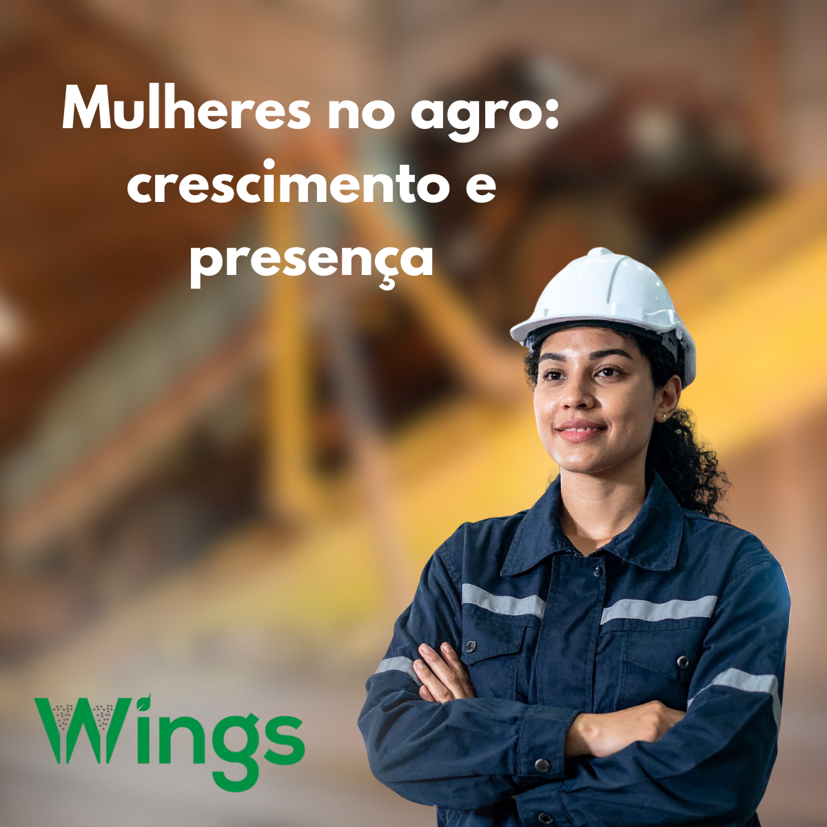 Home - Wings Ltda